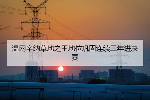 温网辛纳草地之王地位巩固连续三年进决赛