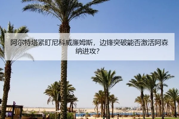 a-er-te-ta-jin-ding-ni-ke-wei-lian-mu-si-bian-feng-tu-po-neng-fou-ji-huo-a-sen-na-jin-gong-3-285.jpg